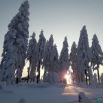 Medinforma Bologna - Neve 24 Febbraio 2018