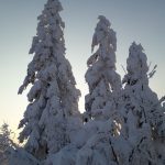 Medinforma Bologna - Neve 24 Febbraio 2018
