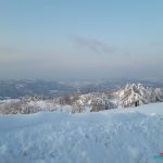 Medinforma Bologna - Neve 24 Febbraio 2018