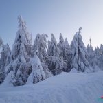 Medinforma Bologna - Neve 24 Febbraio 2018