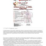Salute_ postura, schiena curata da bambini fa un adulto sano - Emilia-Romagna - ANSA.it_page-0001